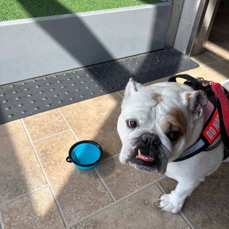 Safe arrival at destination